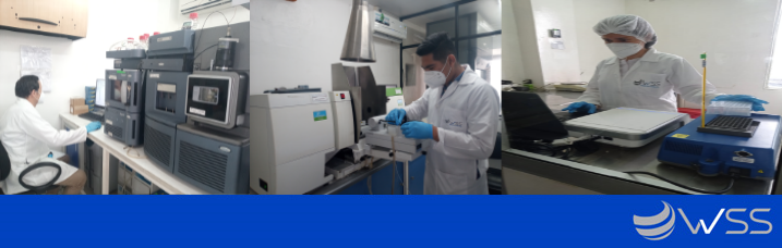 laboratorio-wss.png